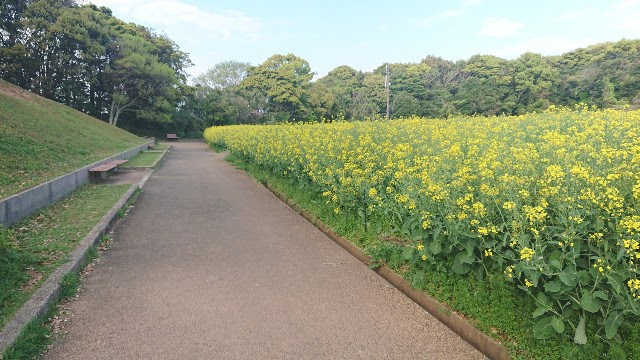 展海峰のベンチ